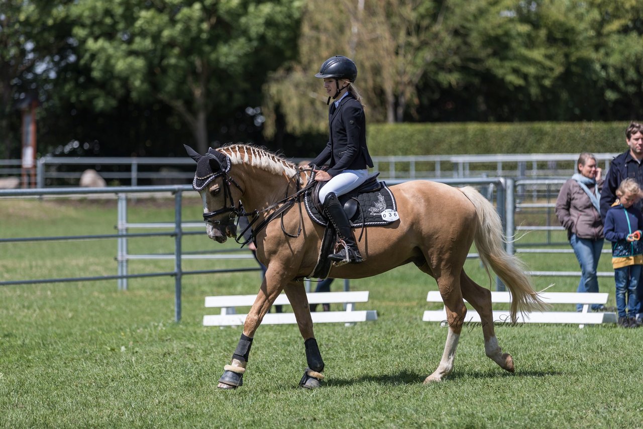 Bild 5 - Pony Akademie Turnier